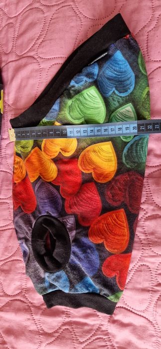 Ubranka dla kotka psa