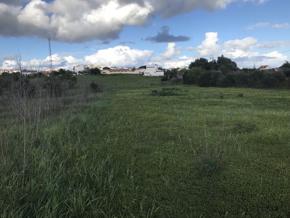 Arrenda-se terreno de 17000 m2 em Lagoa no Algarve