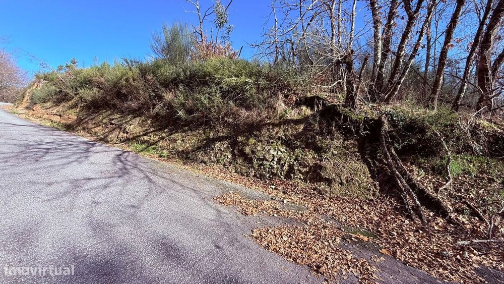Terreno em Veade, Gagos e Molares