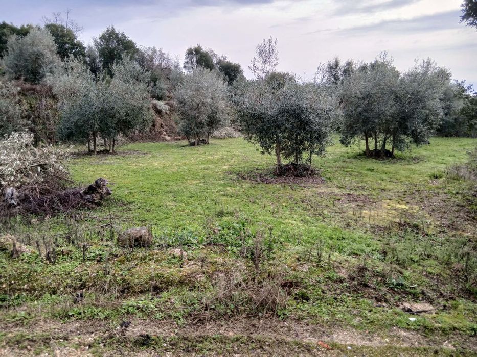 Quinta agricula com barracao