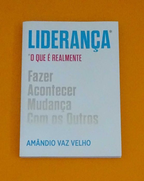 Liderança – O que é Realmente - Amândio Vaz Velho