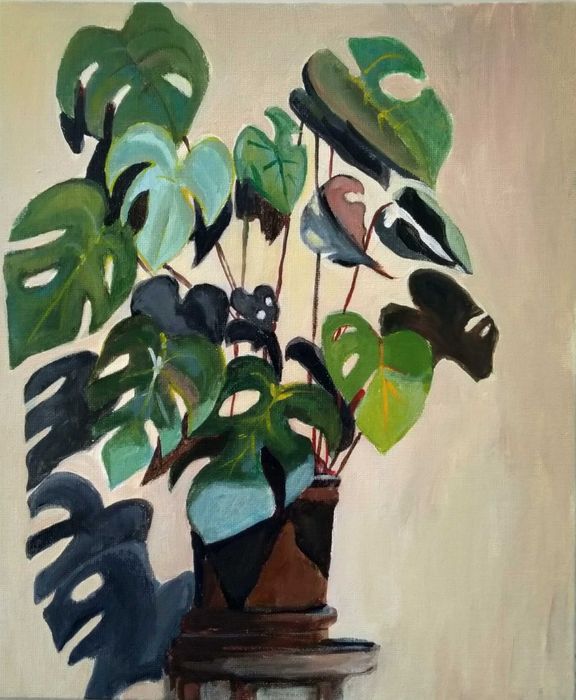 Monstera. Obraz akrylowy