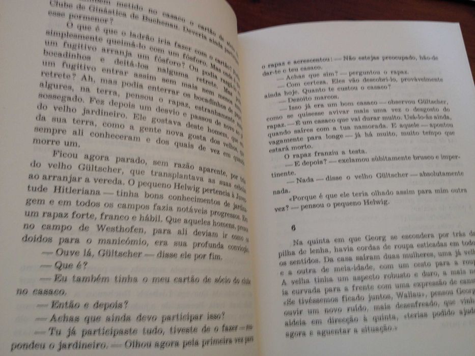 Anna Seghers - A sétima cruz