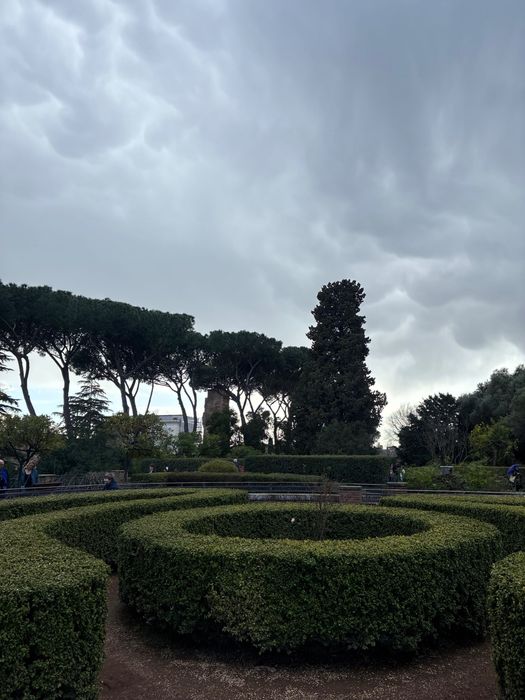 Manutenção de jardins – Estoi e arredores