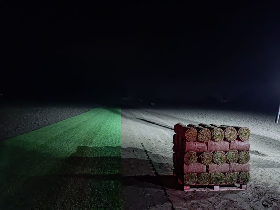Trawa z rolki/Zakładanie ogrodów