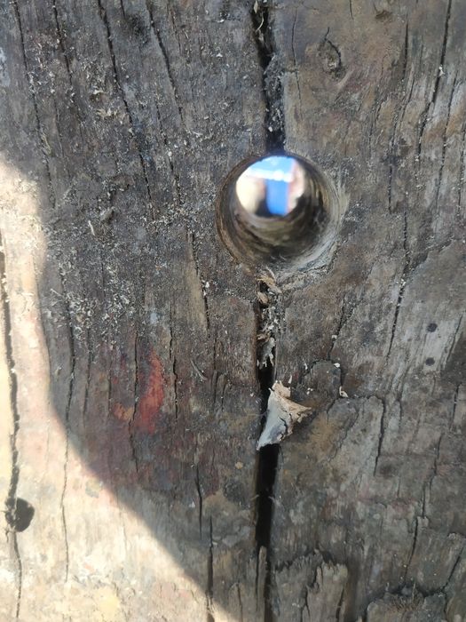 Сверло по дереву 26