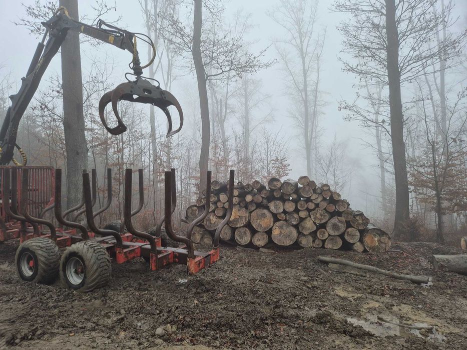 Uslugi leśne transport drewna