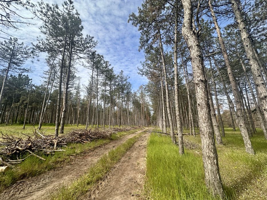 Продажа. Участок. Воскресенск. Река. Лес.