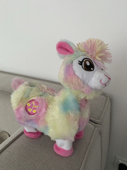Tańcząca lama