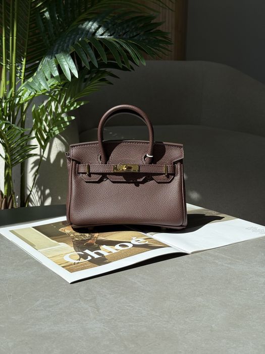 Сумка Hermes Birkin 20 Brown/Gold