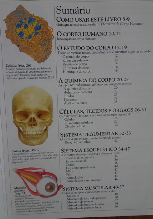 Dicionário Escolar do Corpo Humano