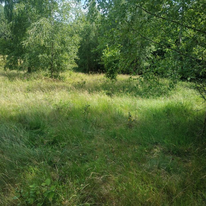 Zdjęcie 8