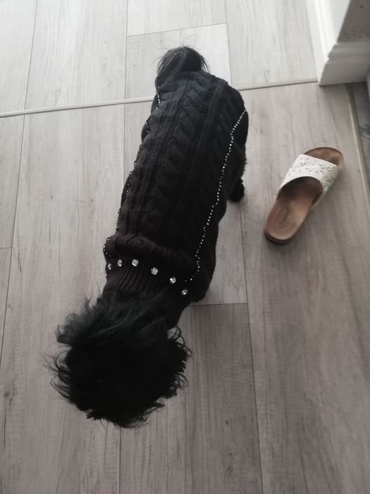 Ubranko dla psa firmy Trixi _nowe