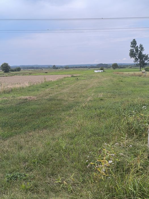 Działka pod Mławą  30arów pod budowę domu