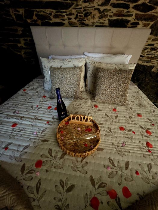 Casa de xisto para venda tojo (piodão)