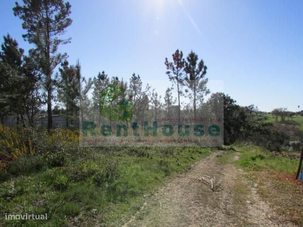 Terreno Para Construção Junto a Coimbra