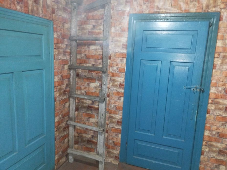 Будинок з земельною ділянкою