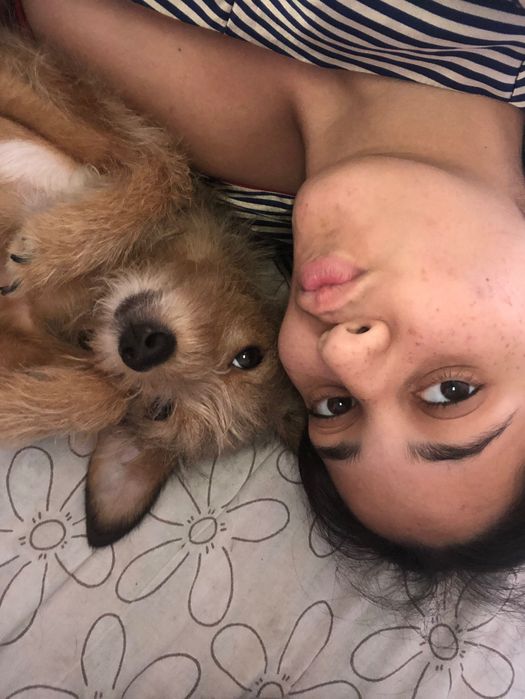2 animais para doar