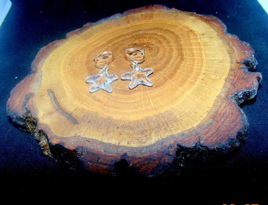 Klipsy na złotym zapieciu