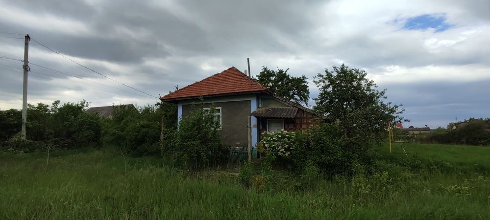 Будинок Мошанець