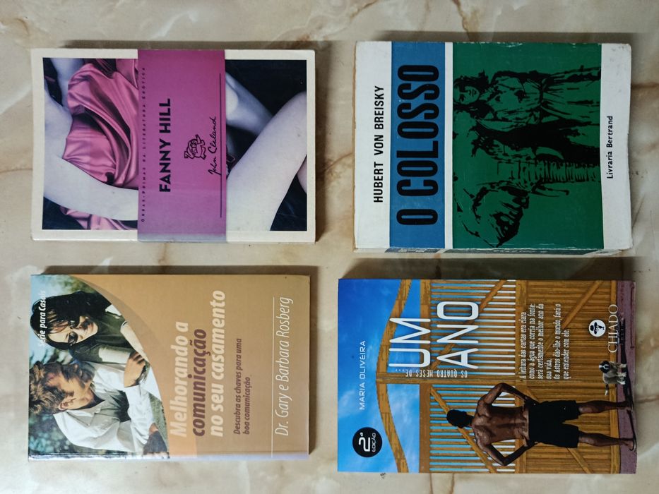 Lote de LIVROS bons e baratos ( 10 )