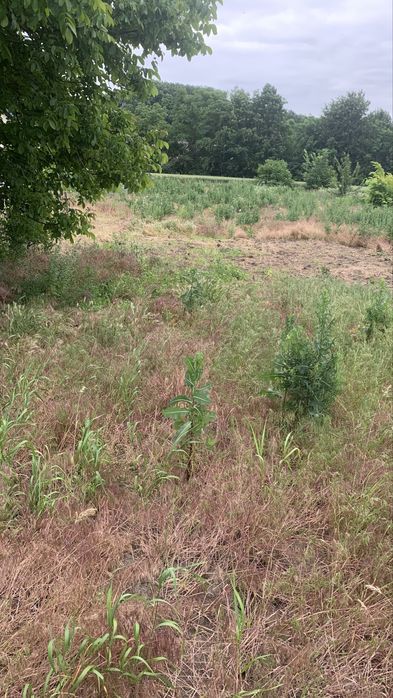 Продається будинок в смт. Вендичани