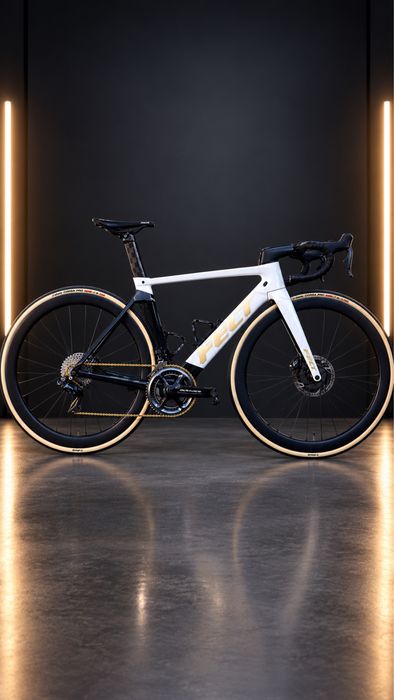 Bicicleta Felt AR  Carbon