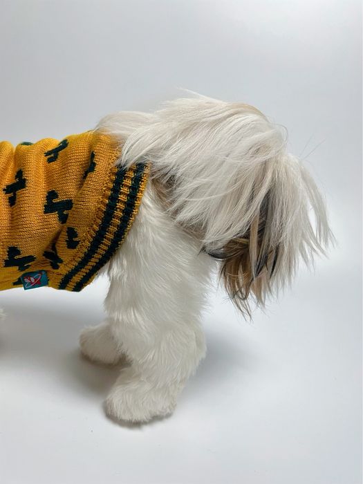 Светрик для собак.