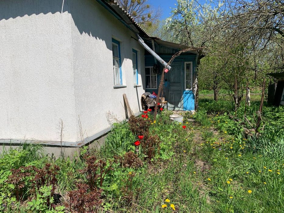 Продам будинок село Долинівка Житомирська обл. Біля н.п. Брусилів