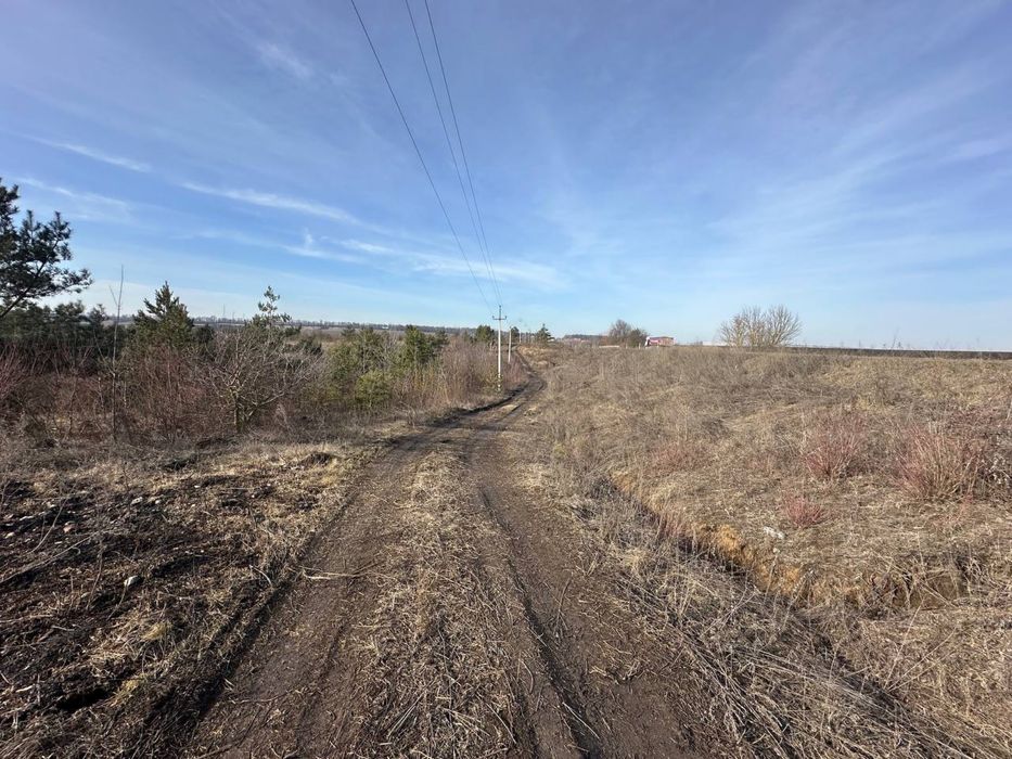 Продаж земельноі Ділянки 30 соток Епіцентр Ружична