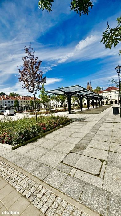 Lokal użytkowy na Starym Rynku