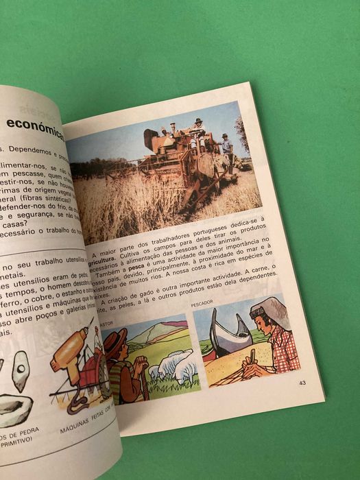 Livro Escola Primária Vivo e Observo Meio Físico e Social 3ª Classe Anos 80