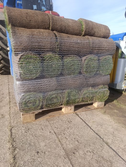 Trawa z rolki/Producent/Transport