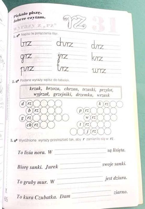 Kartkówki mądrej główki Olejniczak Stępień klasa 2 unikat