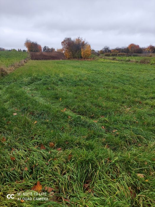 Działka Sadurki / Nałęczów