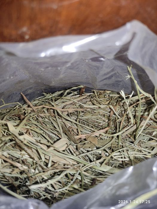 Кварцевый песок и сено для грызунов