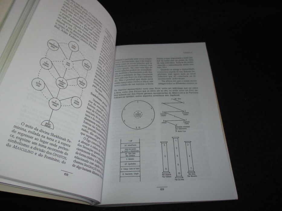Livro Dicionário dos Símbolos Tom Chetwynd