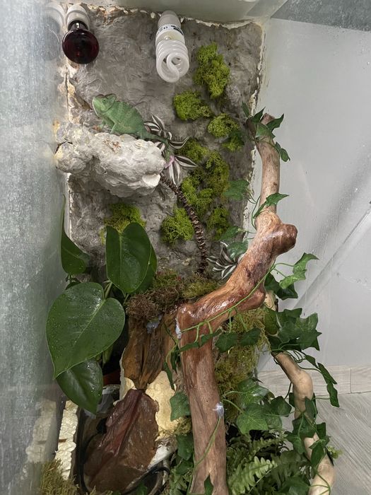 Terrarium dł:60 szer:40 wys:90