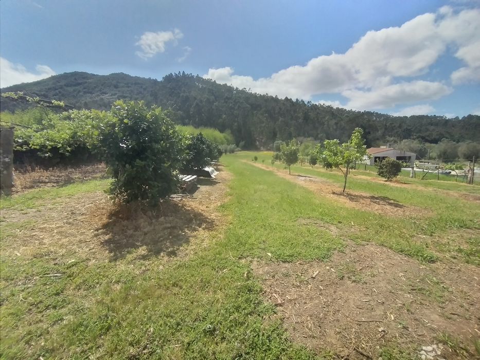 Vende-se terreno — Facha, Viana do Castelo