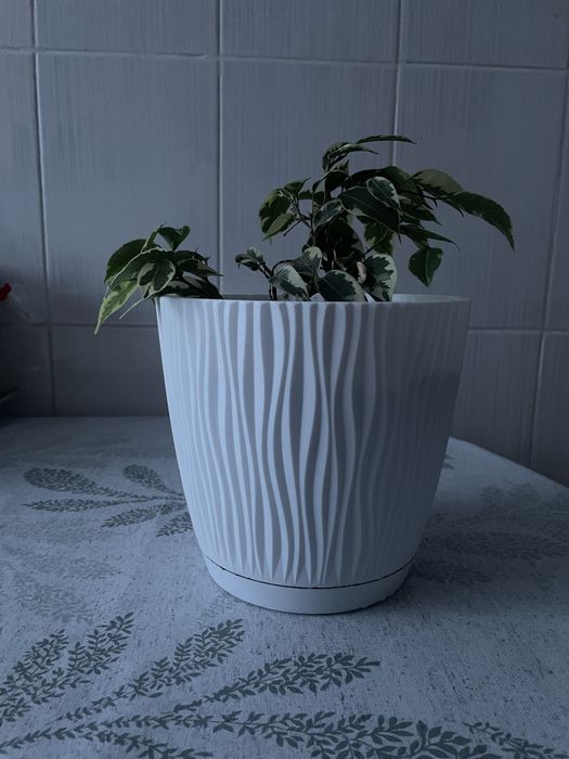 Вазон в глечику гарний