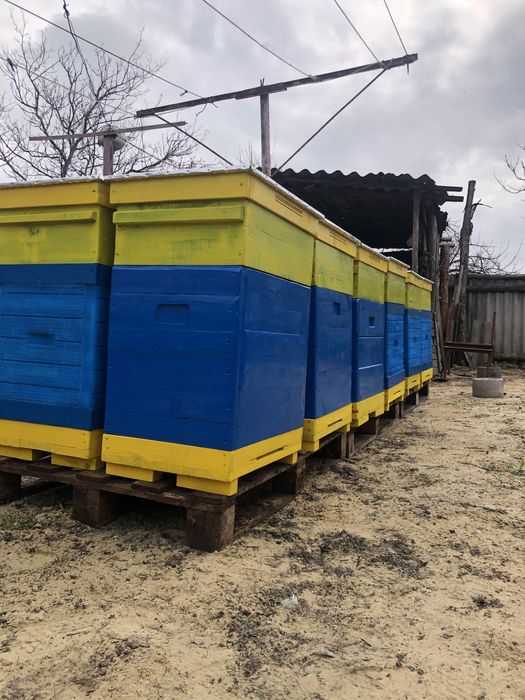 Продам вулики на 12 рамок