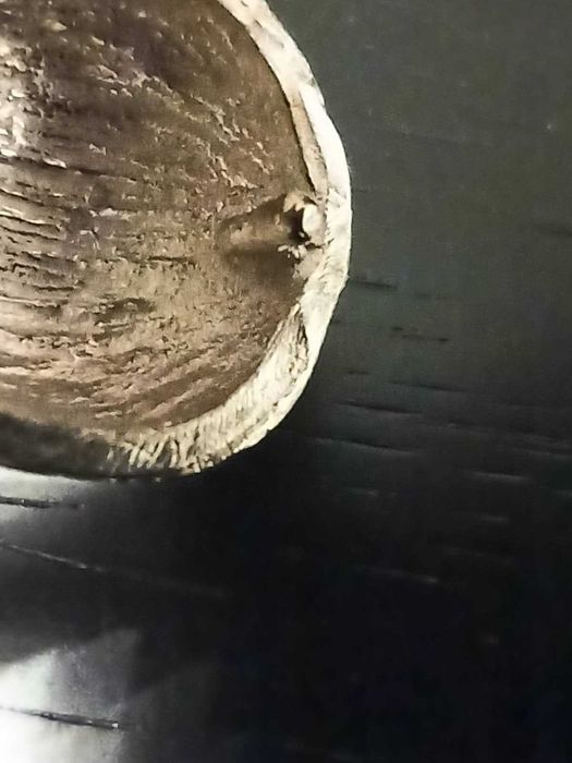 Avelã de Prata 925 estilo Relicário (Fabricação Leitão & Irmão)