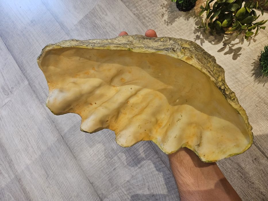 Dekoracje do terarium