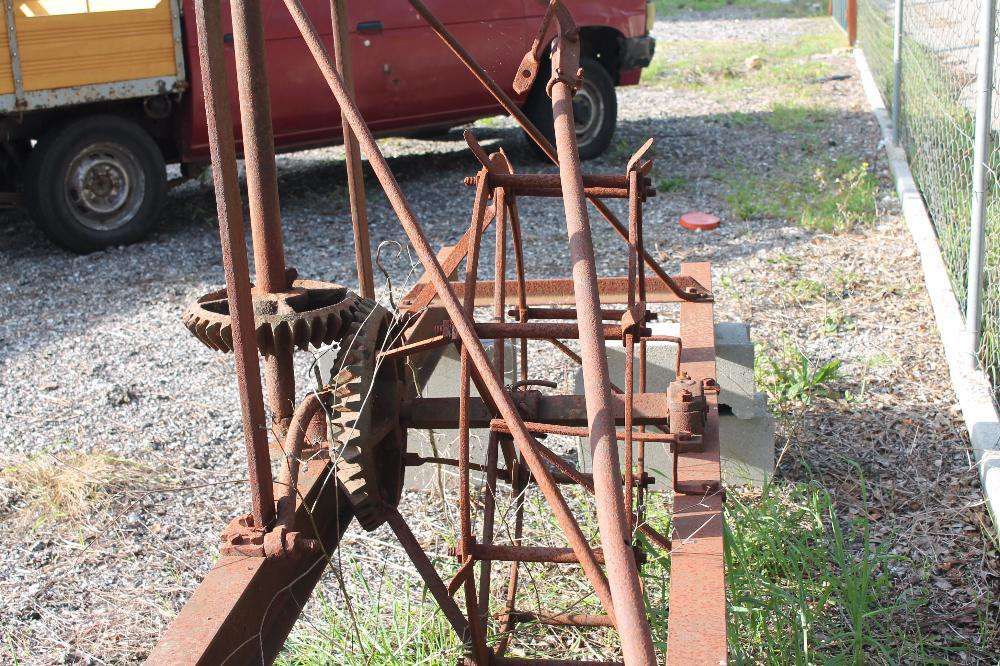 Vendo Nora para decoração