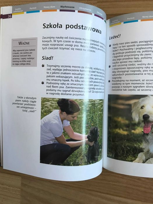 /Behawiorystyka pies psy/ Kundelki Heidi Rogner