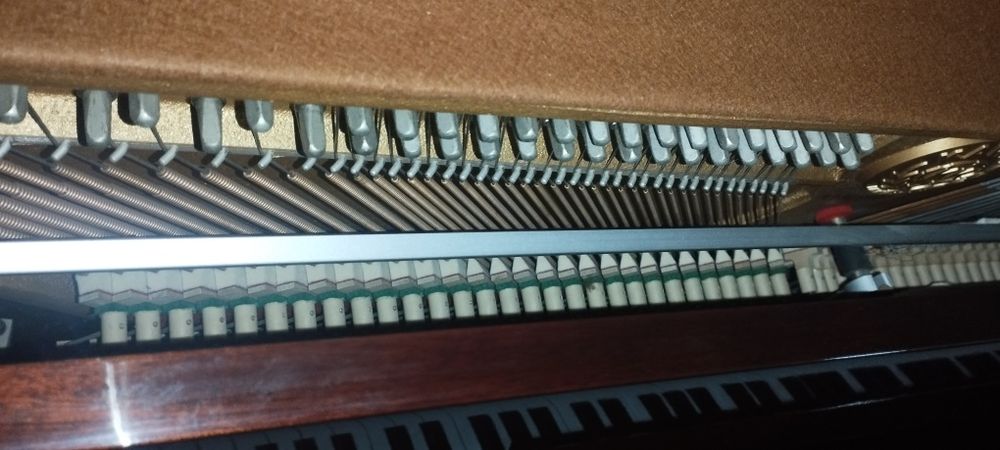 Piano Kaway Oferta transporte e afinação