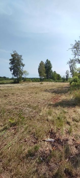 REZERWACJA / Działka budowlana Cisie