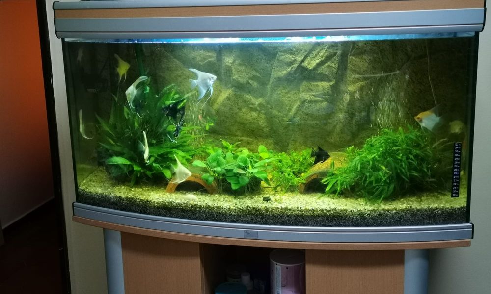 Aquário 180litros