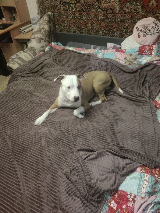 Вязка для здоровья