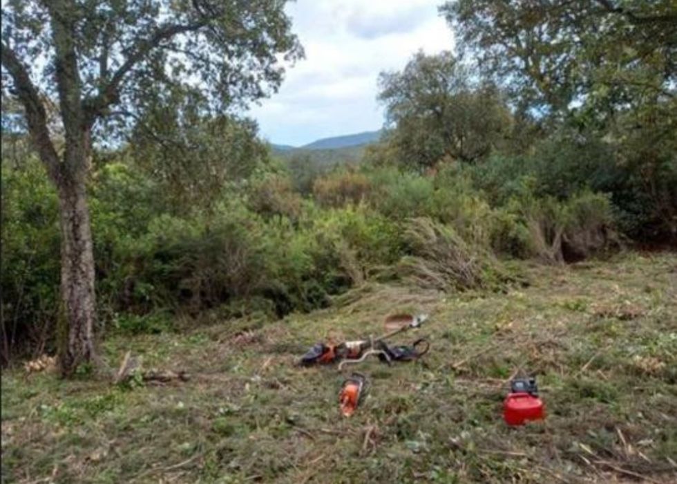 Limpieza de terrenos